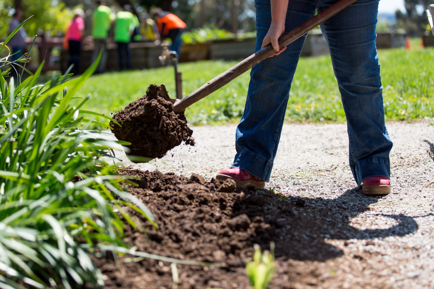 Certificate III in Horticulture AHC30722 traineeship Community College Gippsland